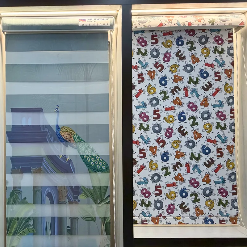 Window Panels