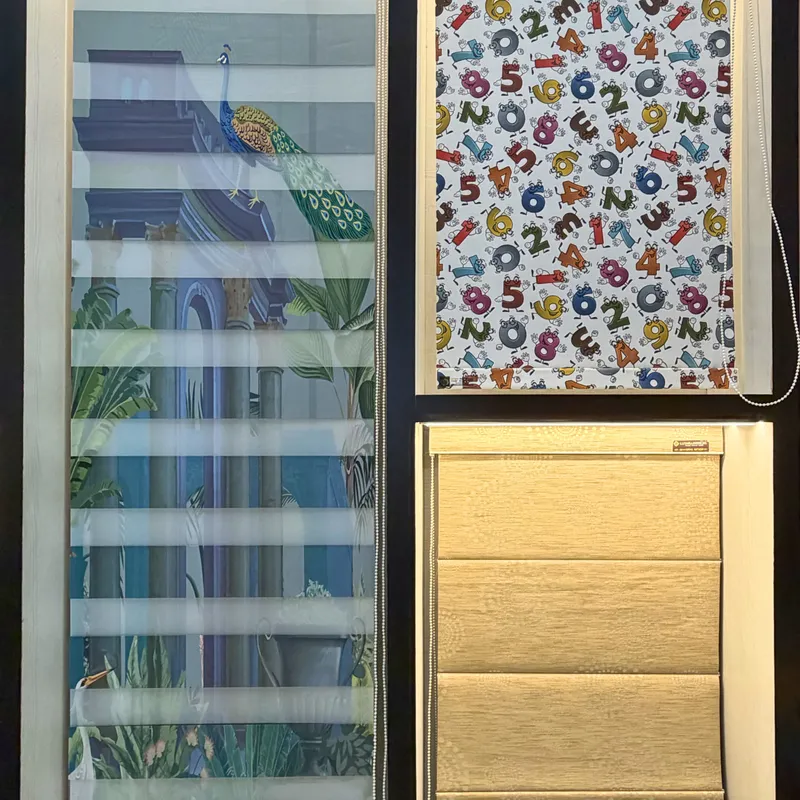 Showcase Image 11